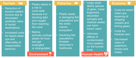 Negatice consequences of marine litter